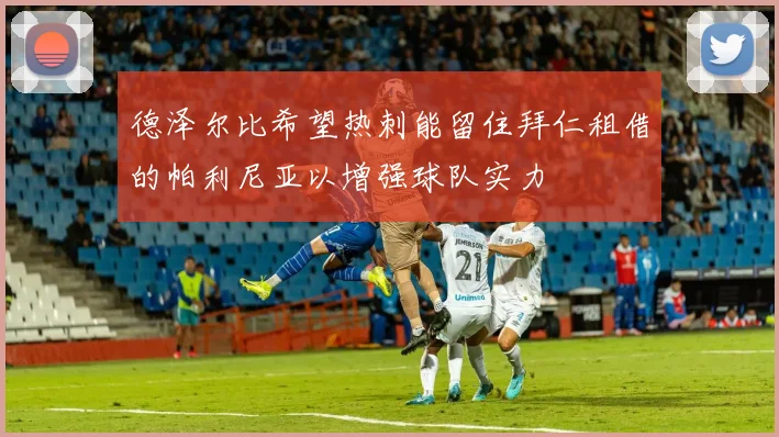 德泽尔比希望热刺能留住拜仁租借的帕利尼亚以增强球队实力